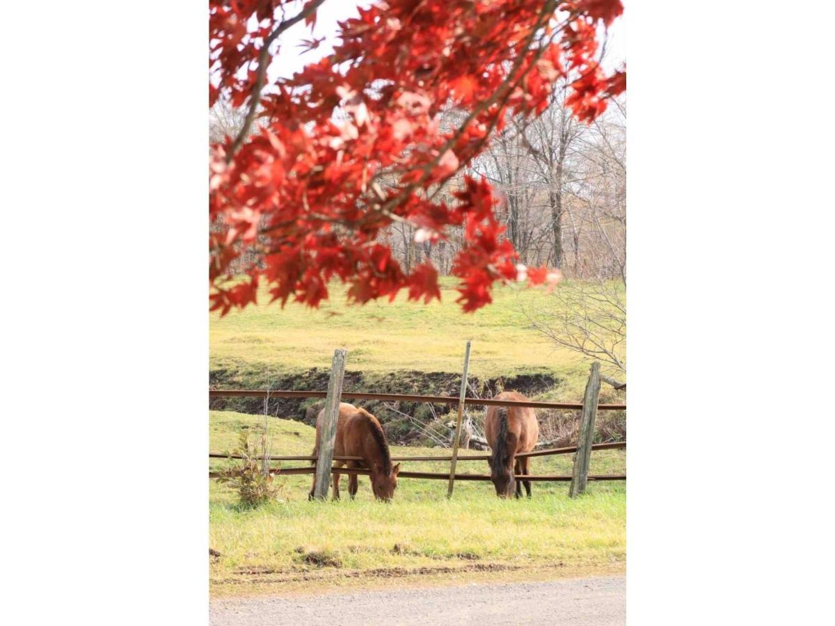 Farm Torch B - Vacation 92724v