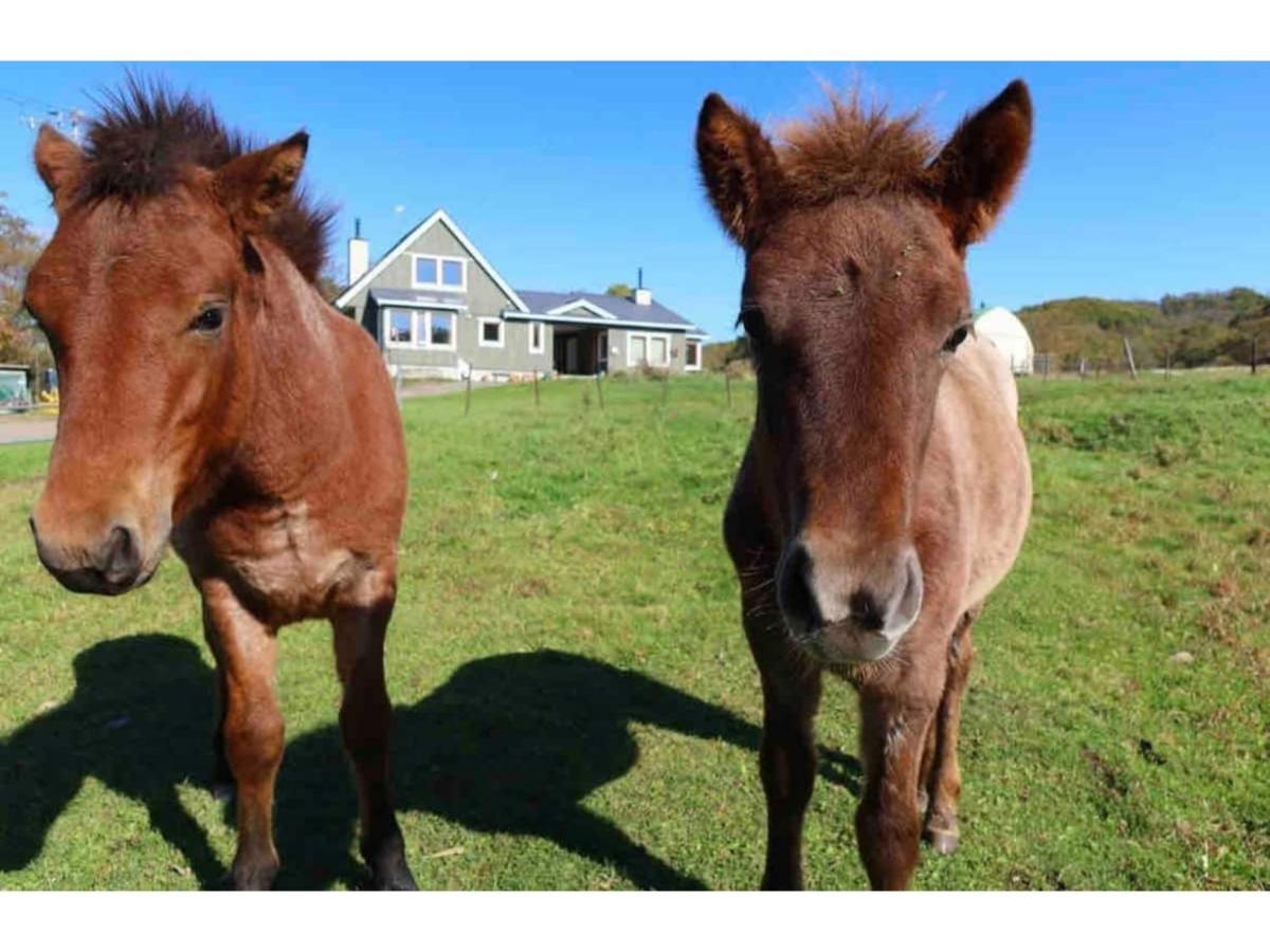 Holiday home Farm Torch B - Vacation 92724v Tsurui